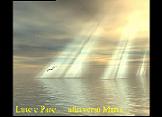 Luce.JPG